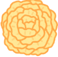orange-flower