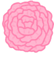 pink-flower